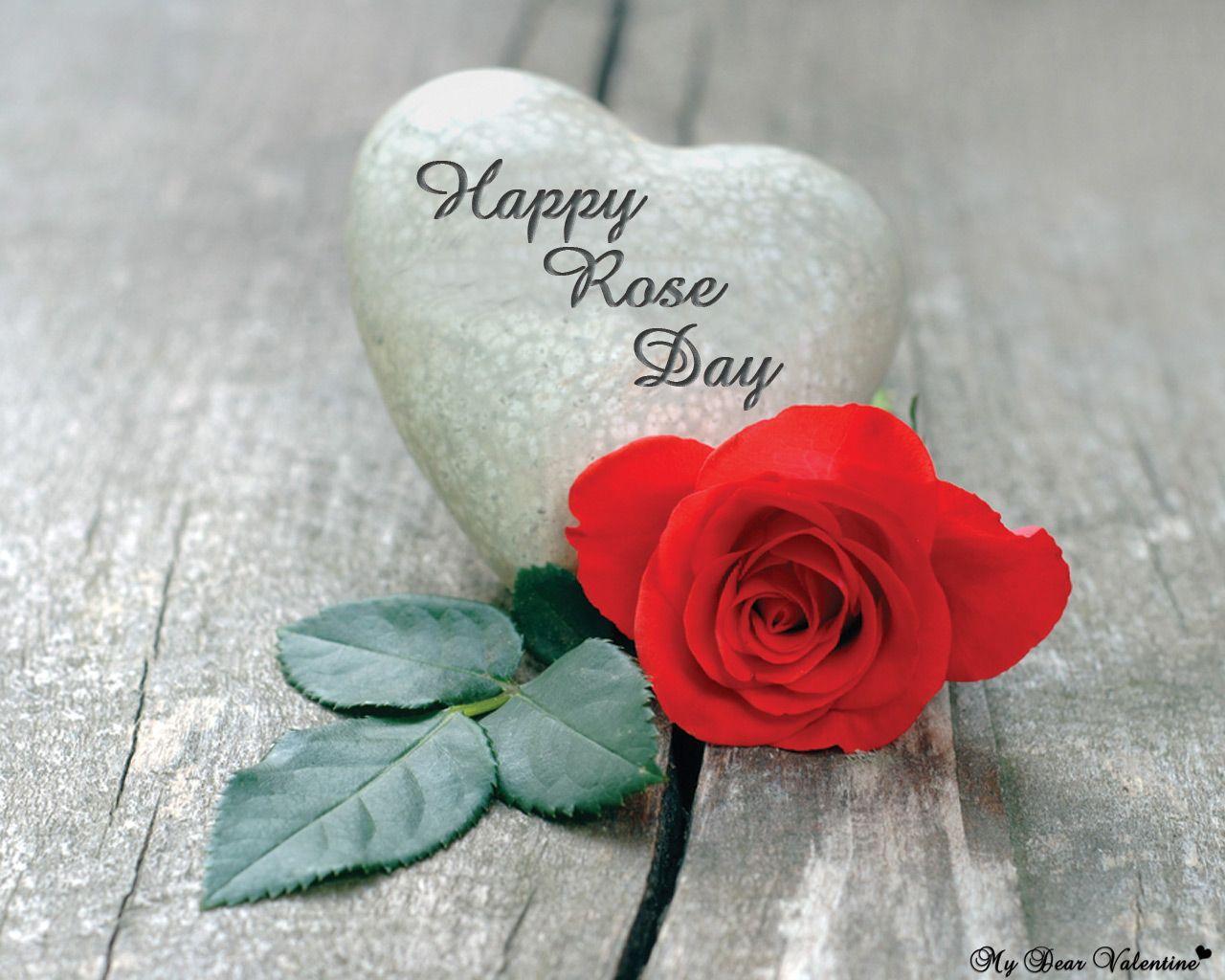 Best Happy Rose Day Wallpapers 2021