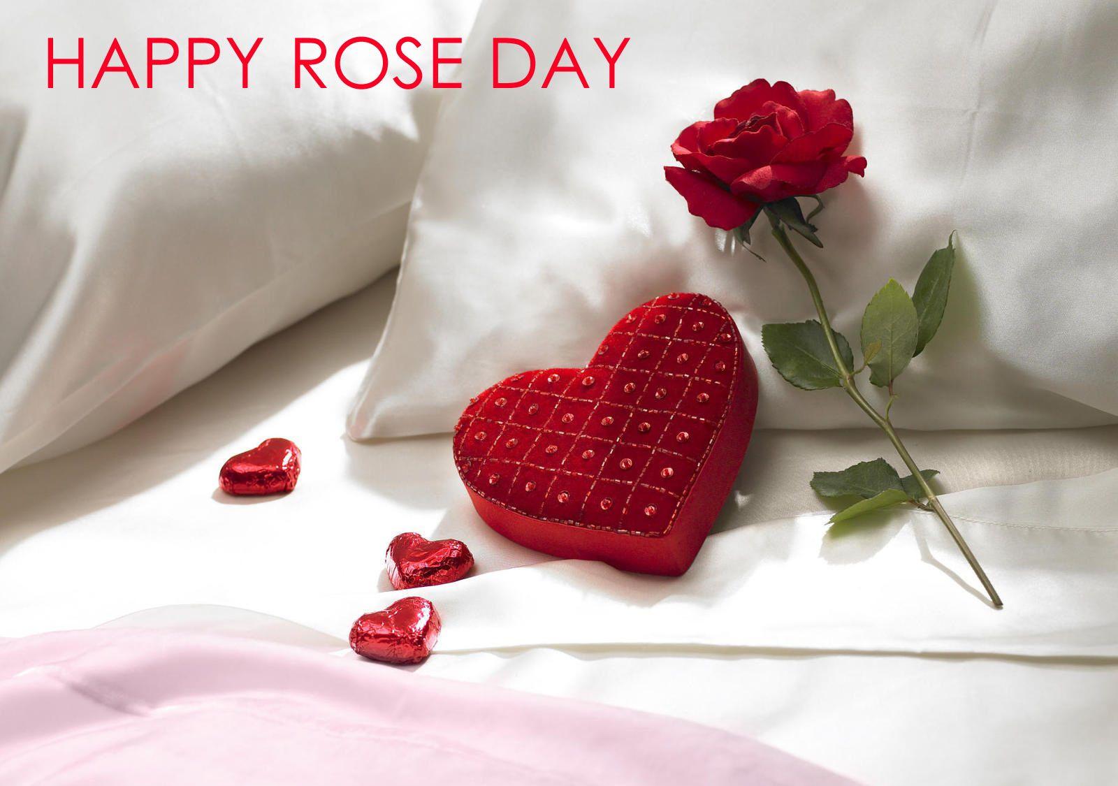 Best Rose Day 2021 Wallpapers