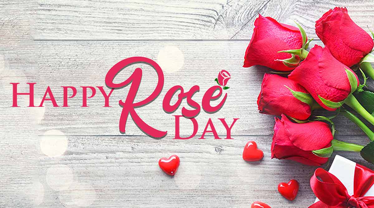 Happy Rose Day Status