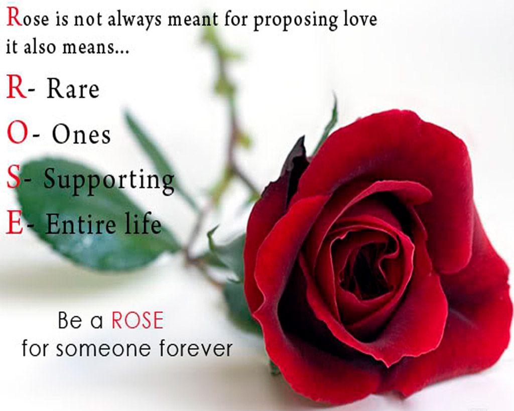 Happy Rose Day Wishes Wallpapers