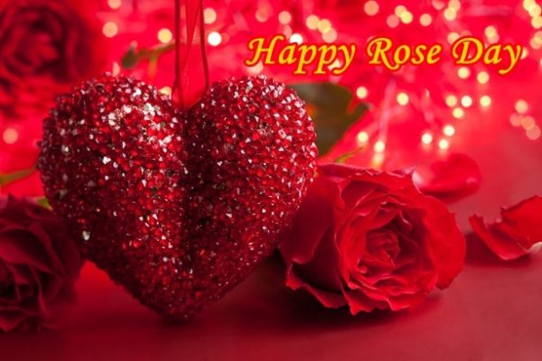 Happy rose day Image