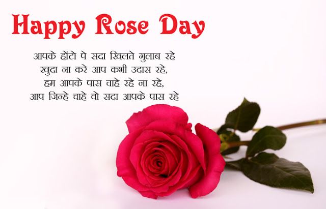 Rose day images 2021