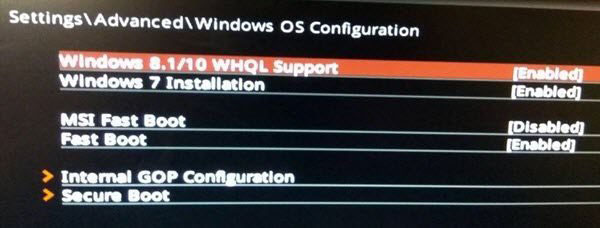 02 -WHQL Support